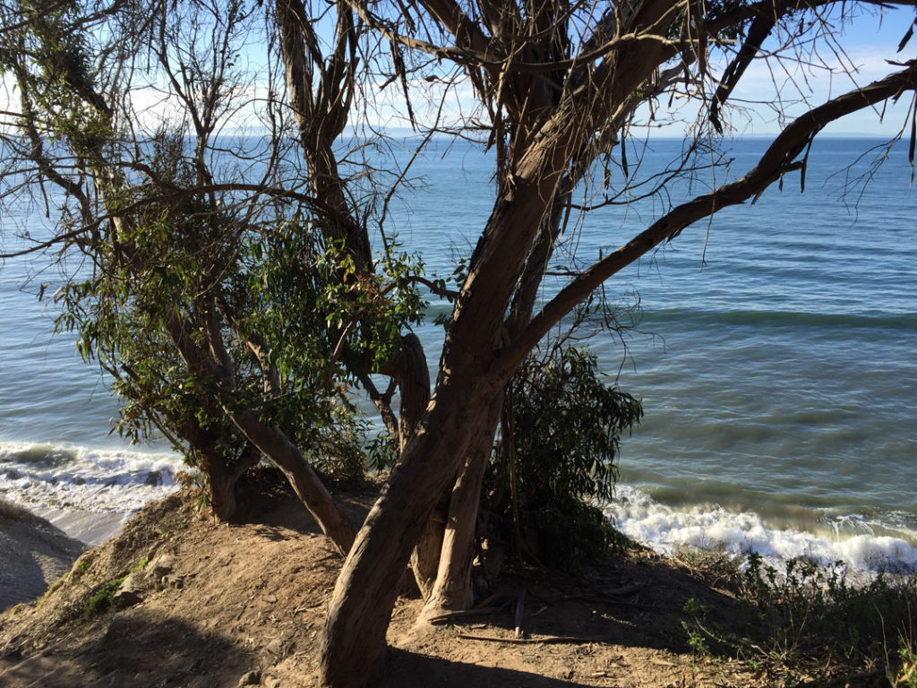 More Mesa Preserve - Santa Barbara, CA