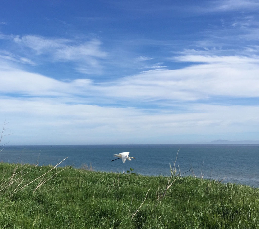 More Mesa Preserve - Santa Barbara, CA