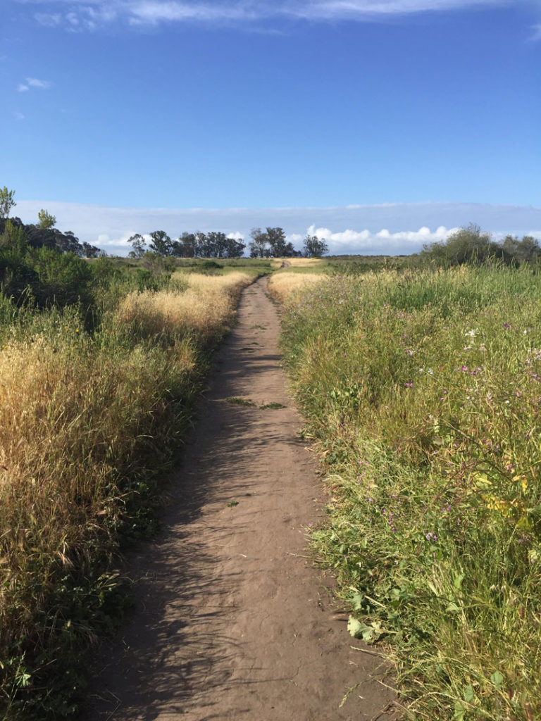 More Mesa Preserve - Santa Barbara