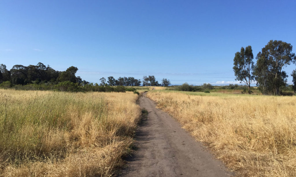 More Mesa Preserve - Santa Barbara