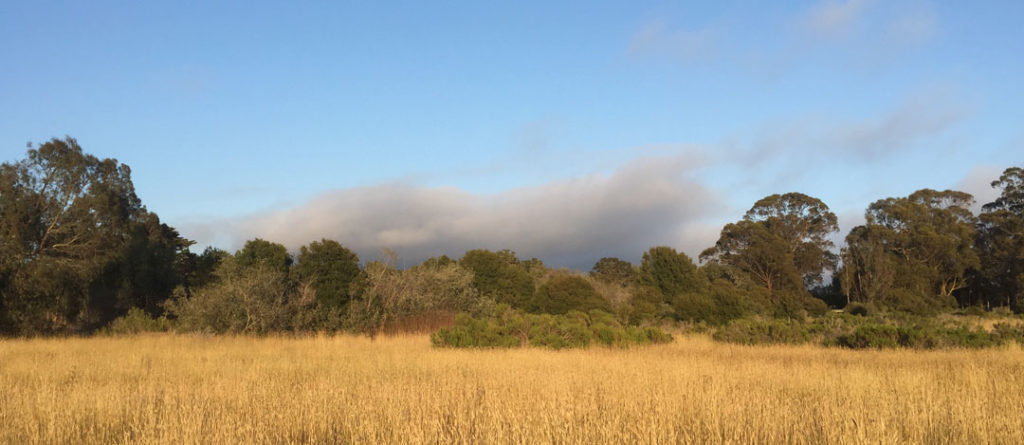 More Mesa Preserve - Santa Barbara