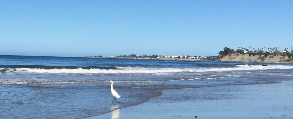 More Mesa Preserve - Santa Barbara