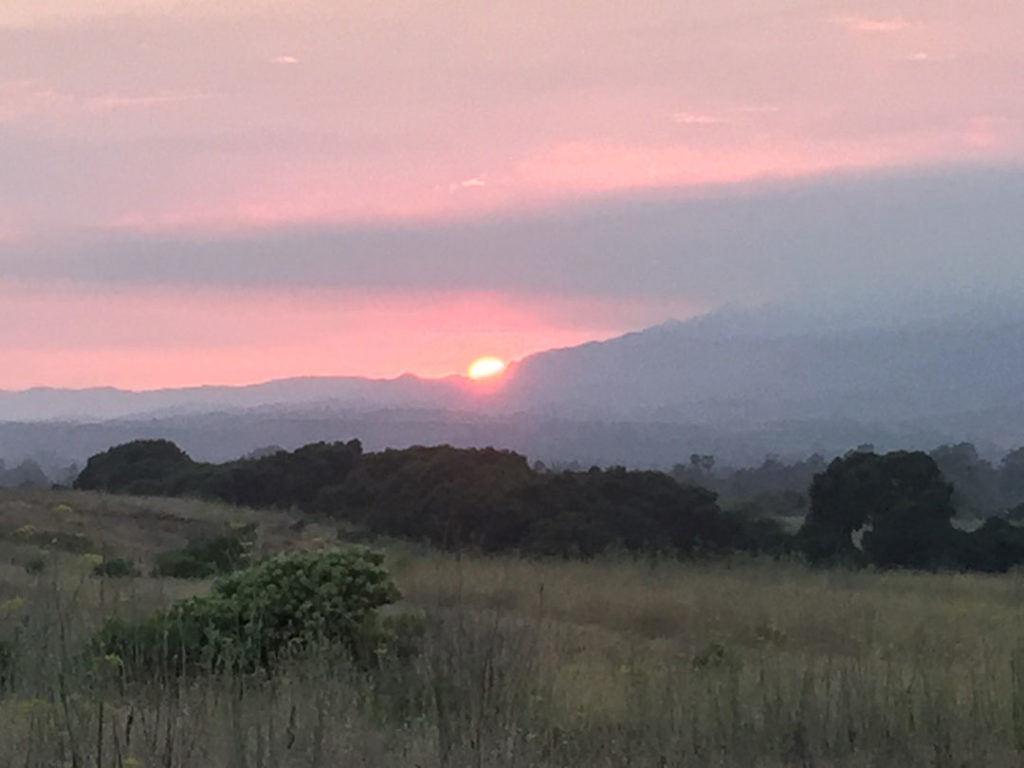 More Mesa Preserve - Santa Barbara