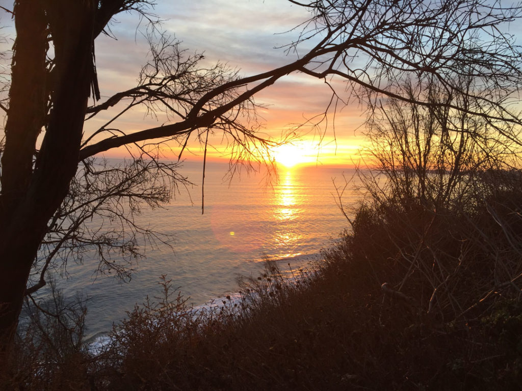 More Mesa Preserve - Santa Barbara