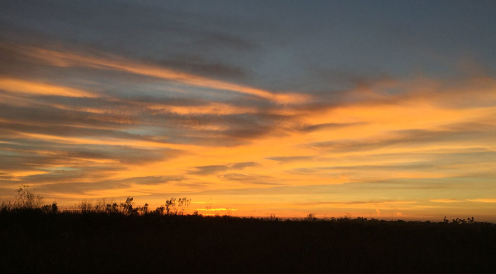 More Mesa Preserve - Santa Barbara