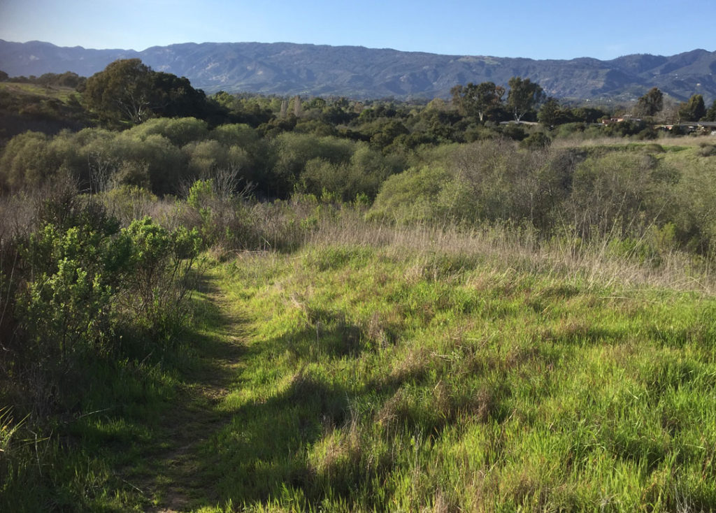 More Mesa Preserve - Santa Barbara