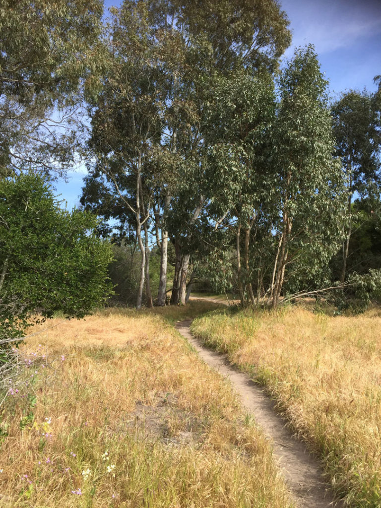 More Mesa Preserve - Santa Barbara