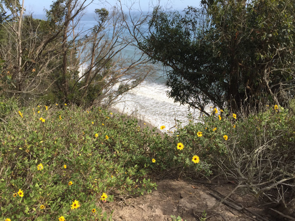 More Mesa Preserve - Santa Barbara