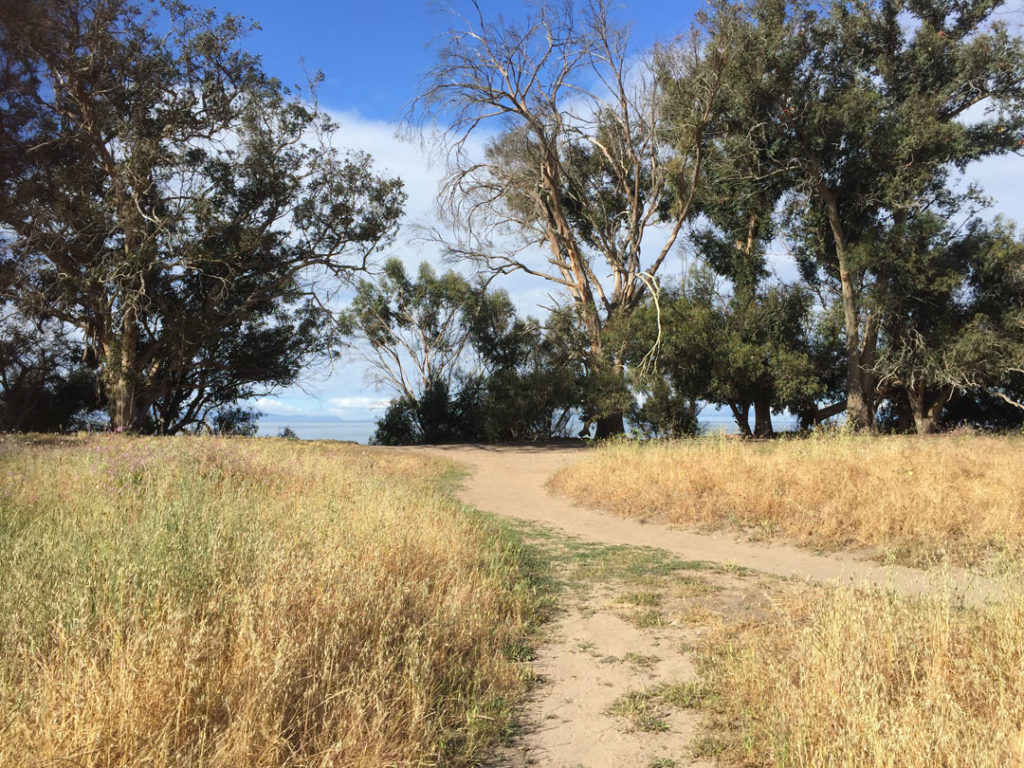 More Mesa Preserve - Santa Barbara