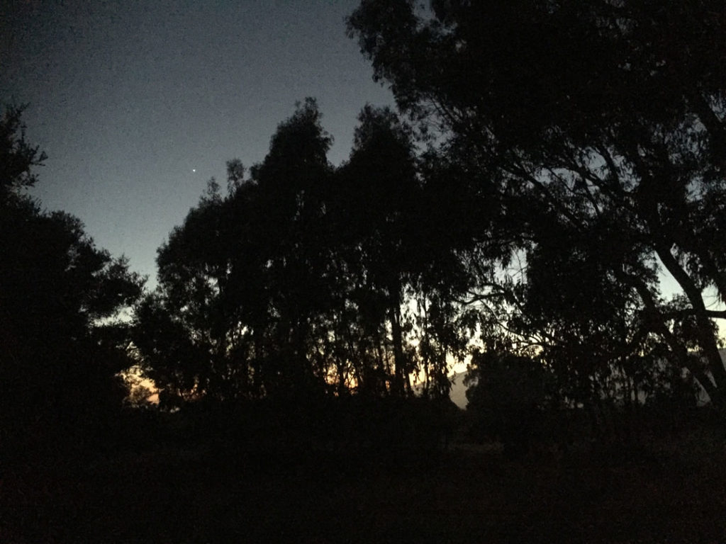 More Mesa Preserve - Santa Barbara