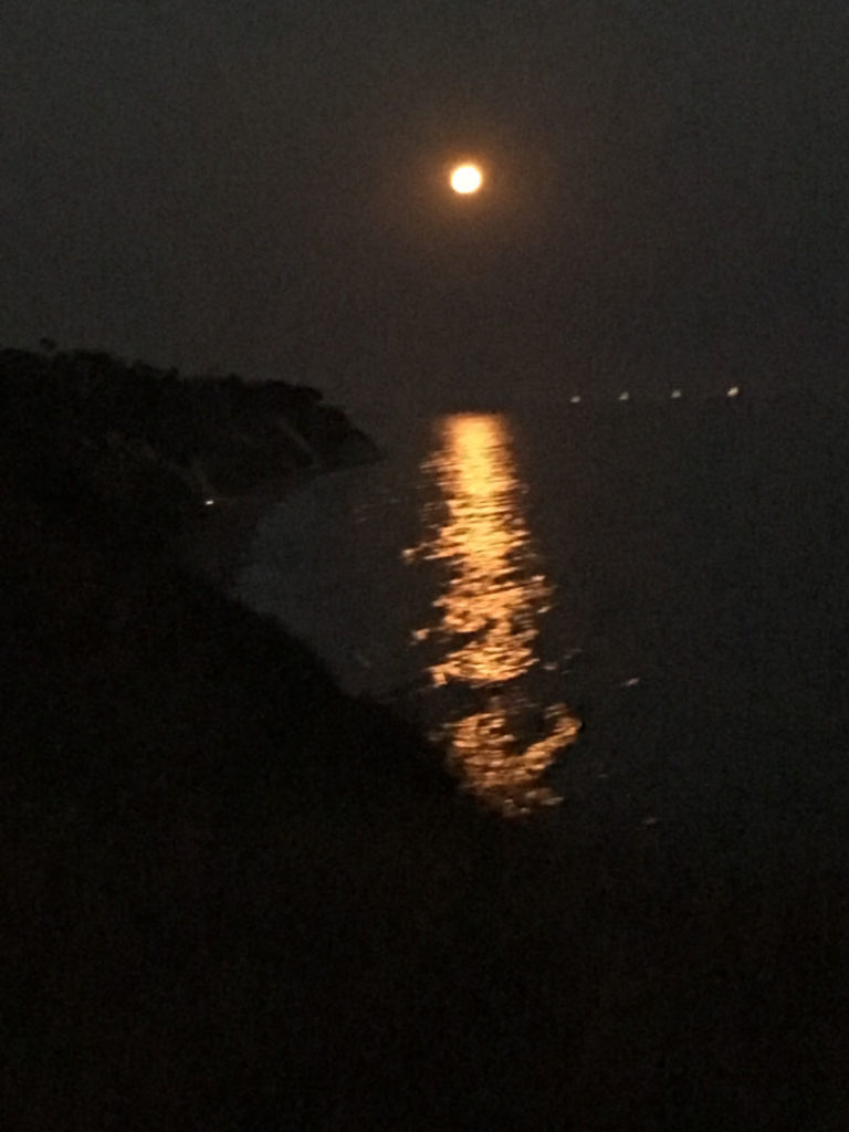 More Mesa Preserve - Santa Barbara