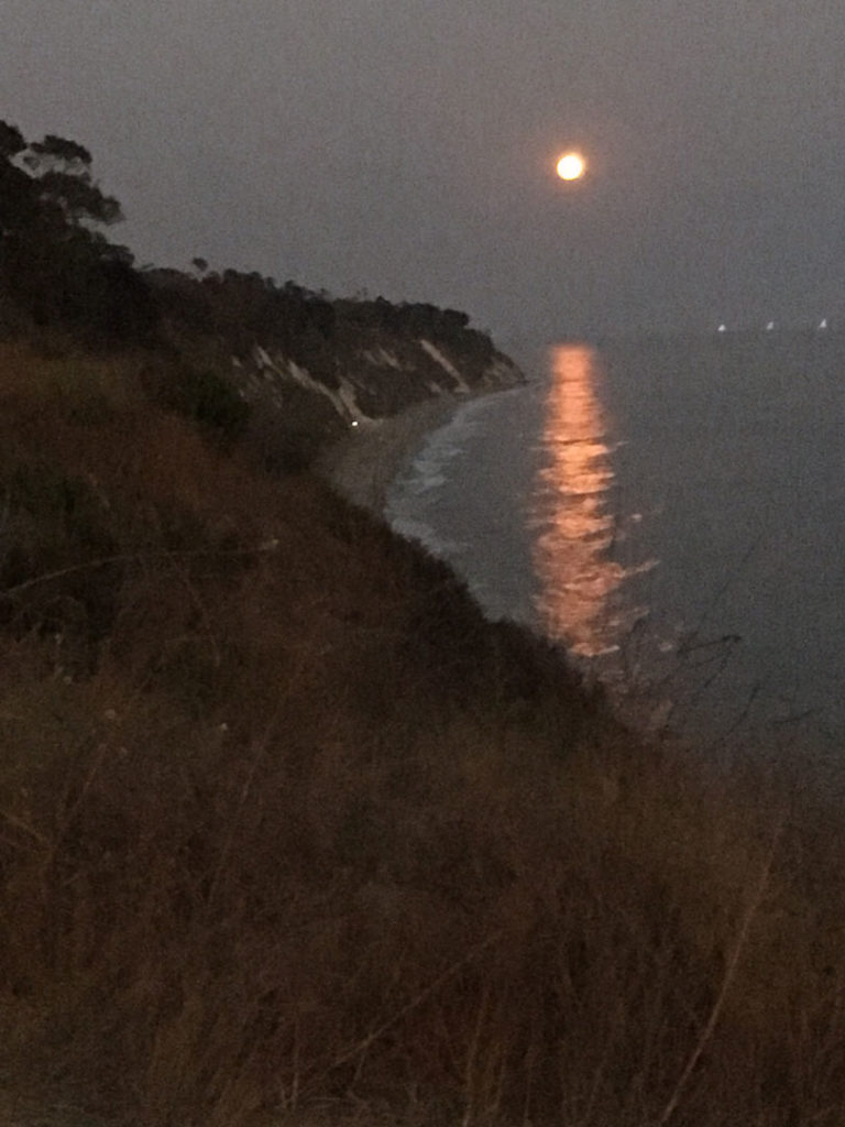 More Mesa Preserve - Santa Barbara