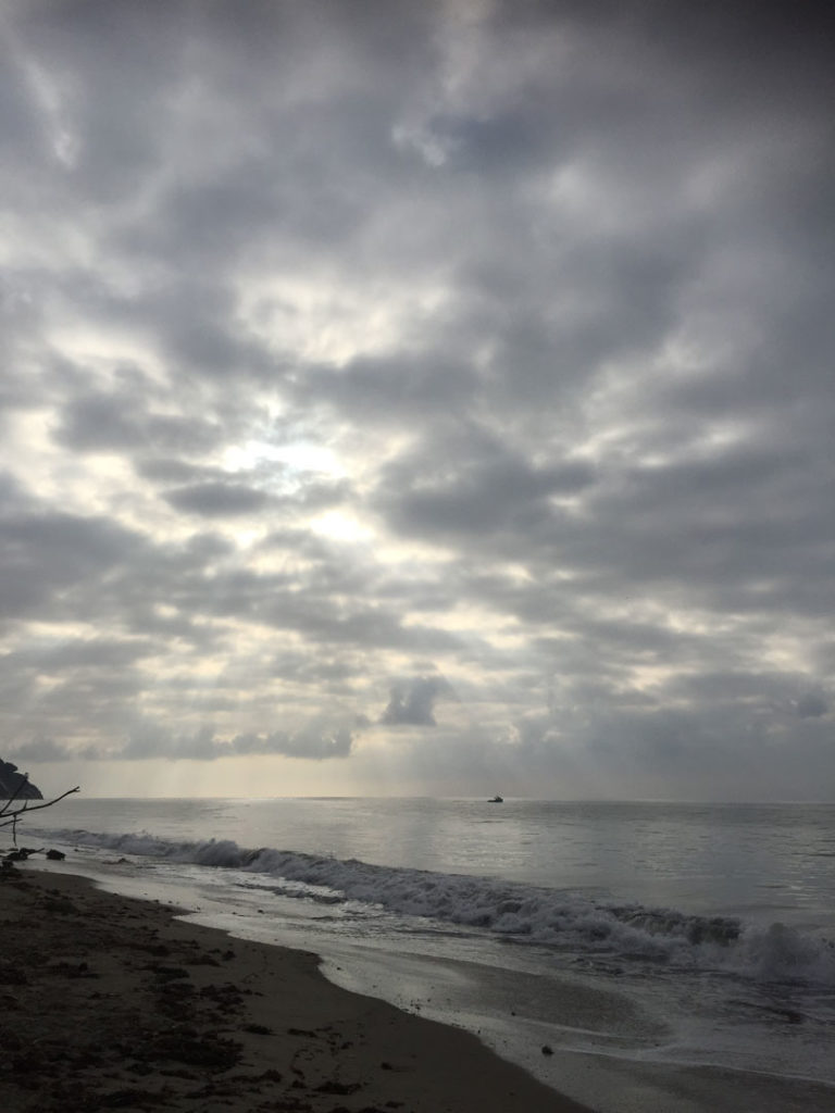 More Mesa Preserve - Santa Barbara
