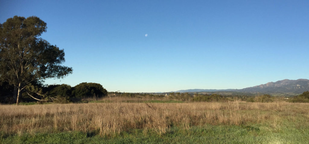More Mesa Preserve - Santa Barbara