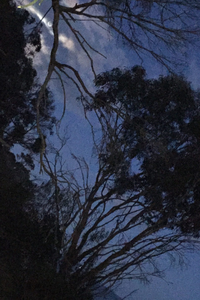 More Mesa Santa Barbara