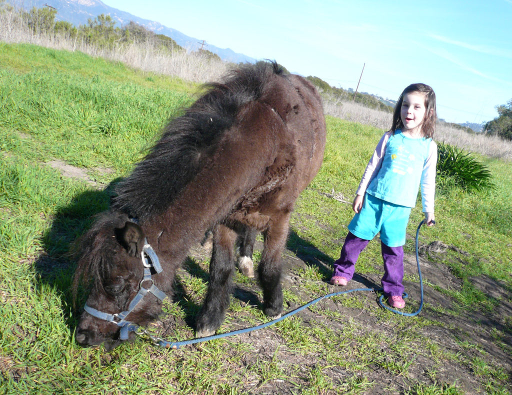 Bucky! More Mesa Preserve, Santa Barbara
